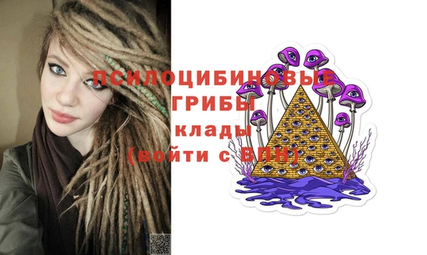дурь Алексин