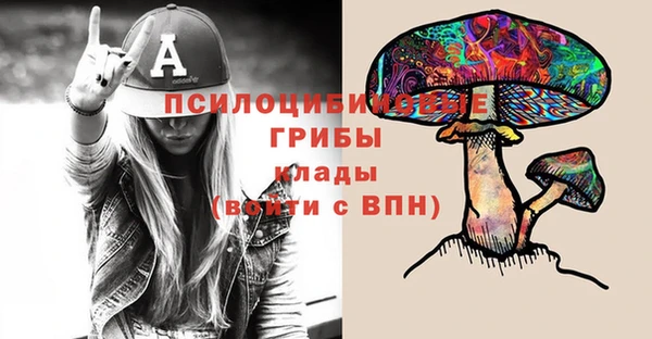 гидра Ельня