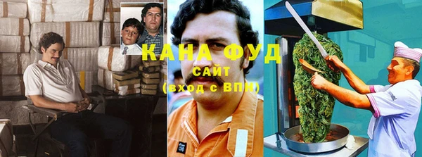 дурь Алексин