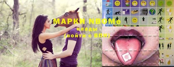 дурь Алексин