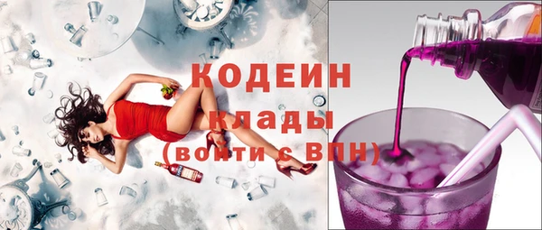дурь Алексин